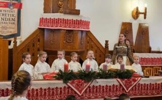 Green Lab Oradea projekt